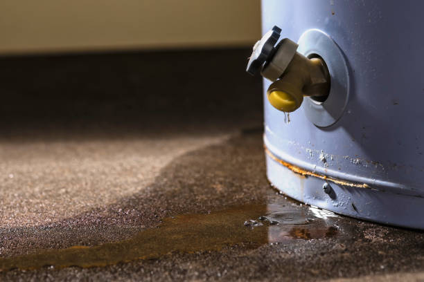 Best Residential water damage restoration  in Montvale, NJ