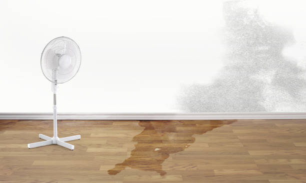 Best Local water damage restoration  in Montvale, NJ