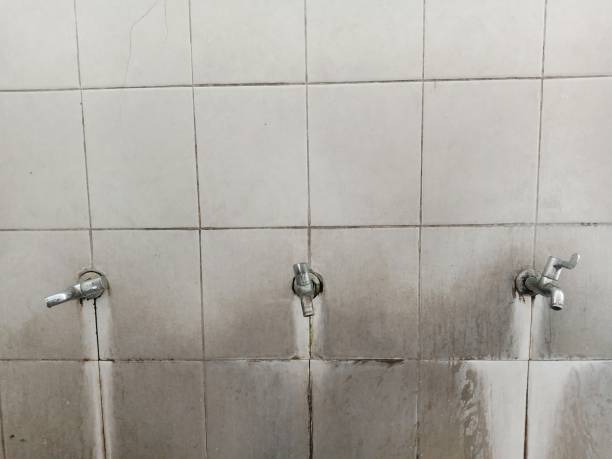 Best 24-hour water damage restoration  in Montvale, NJ