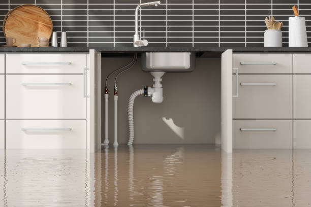 Best Fire Damage Restoration  in Montvale, NJ